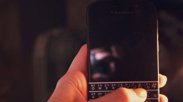blackberry