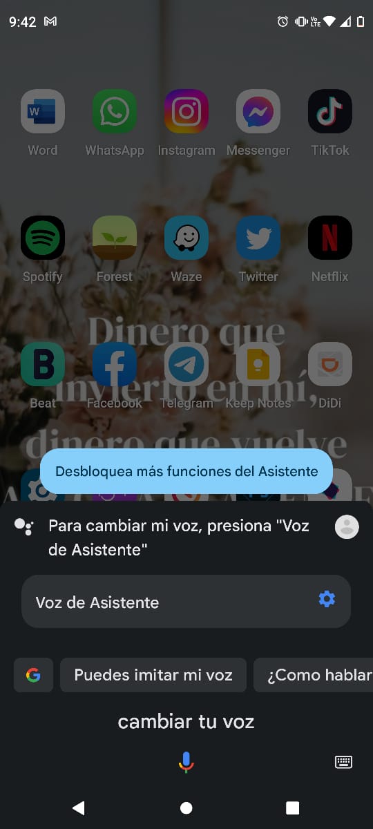 asistente de google.