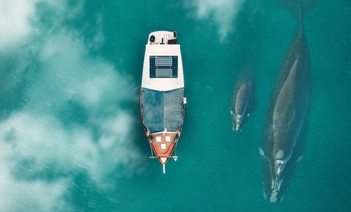 Drones detectando barcos balleneros