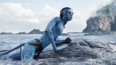 Avatar 3