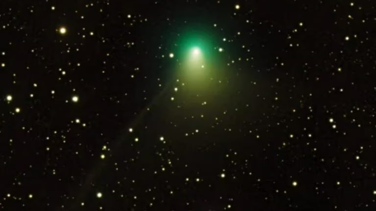 cometa verde