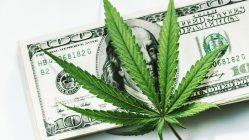 cannabis inversión