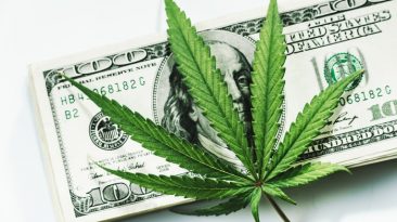 cannabis inversión