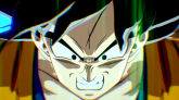 Budokai Tenkaichi