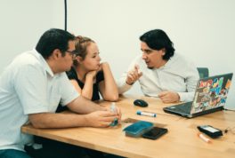 ingenieros de Software