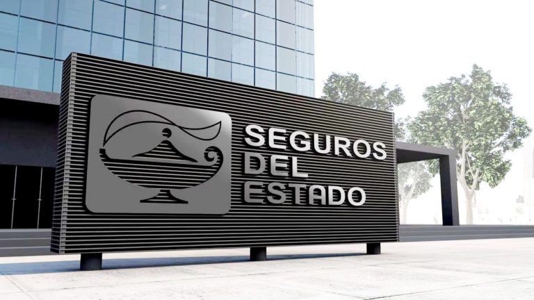 seguros del estado