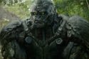 Beast Wars