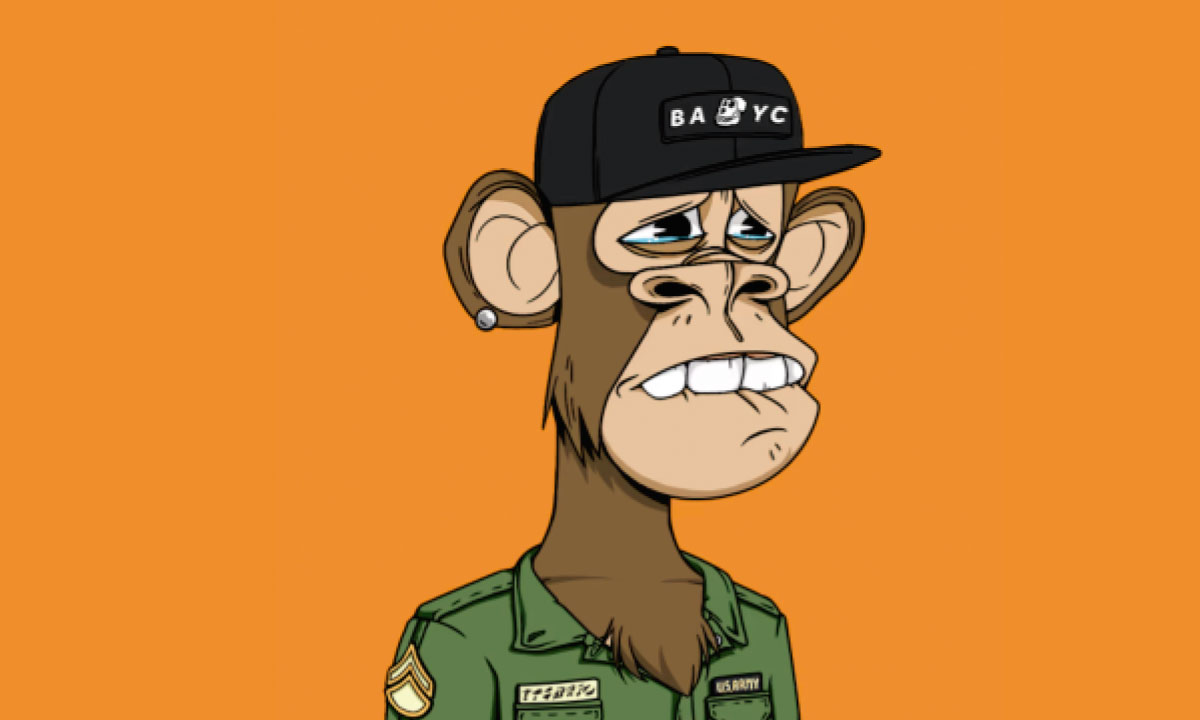 ¿Adiós a los monos extraños? X elimina el soporte para las imágenes NFT