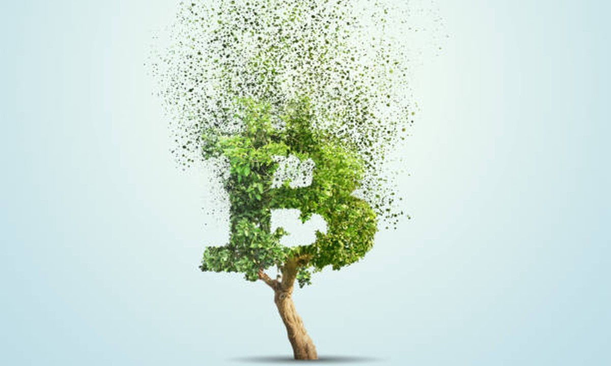 ONU revela cómo el mercado de las criptomonedas socava e impacta el clima, el agua y la tierra