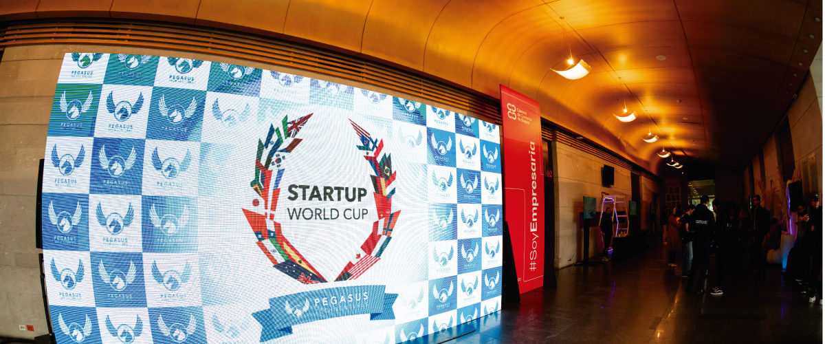 startup"