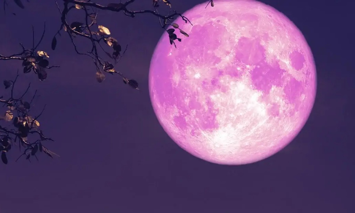 ¿Cuándo es la ‘Luna Rosa’ y por qué se llama así?