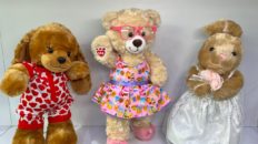 peluche