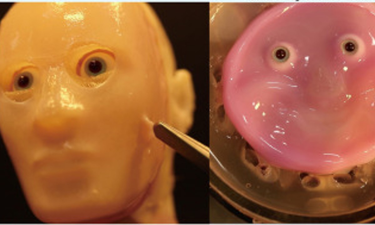 Crean robots con piel viva: autómatas más parecidos  y con funcionalidades humanas