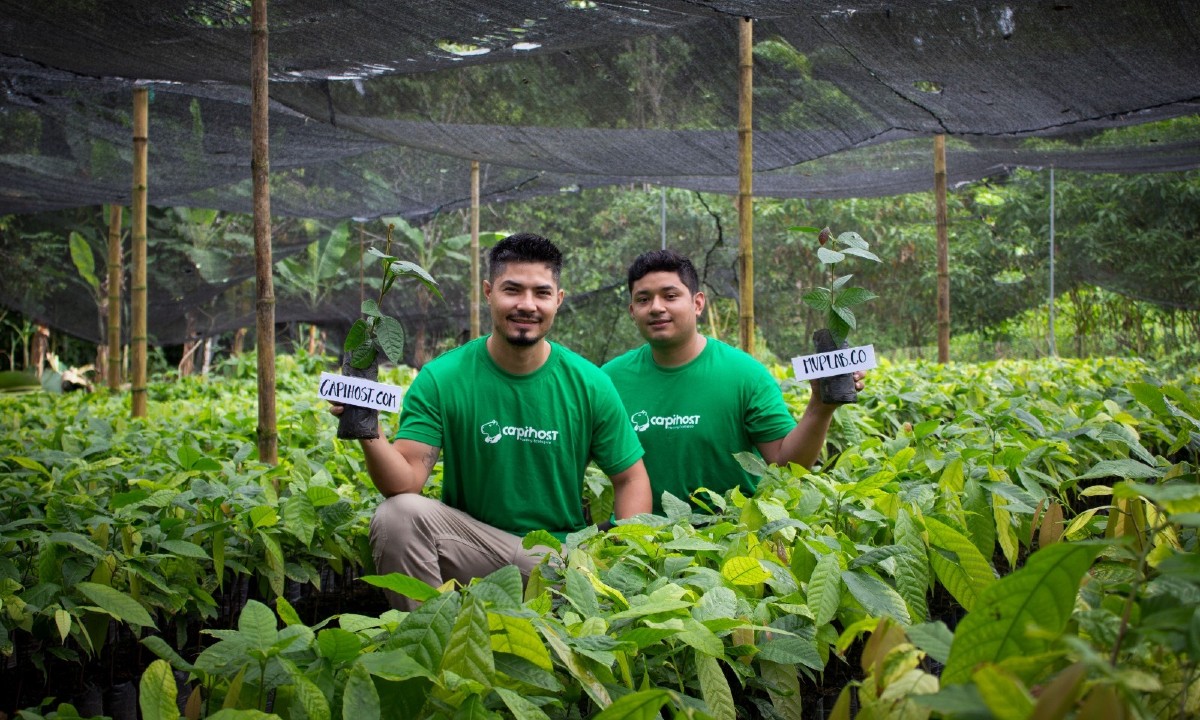 Así funciona el hosting ecológico creado por colombianos para ayudar al Amazonas