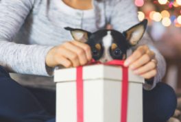 regalos de navidad mascotas