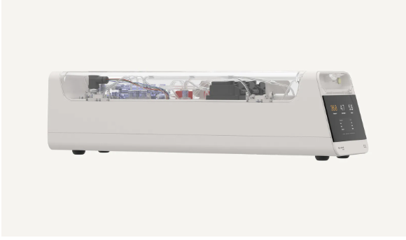 computadora neuronas