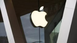 apple