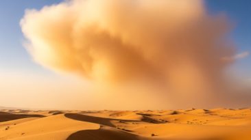 Polvo del Sahara