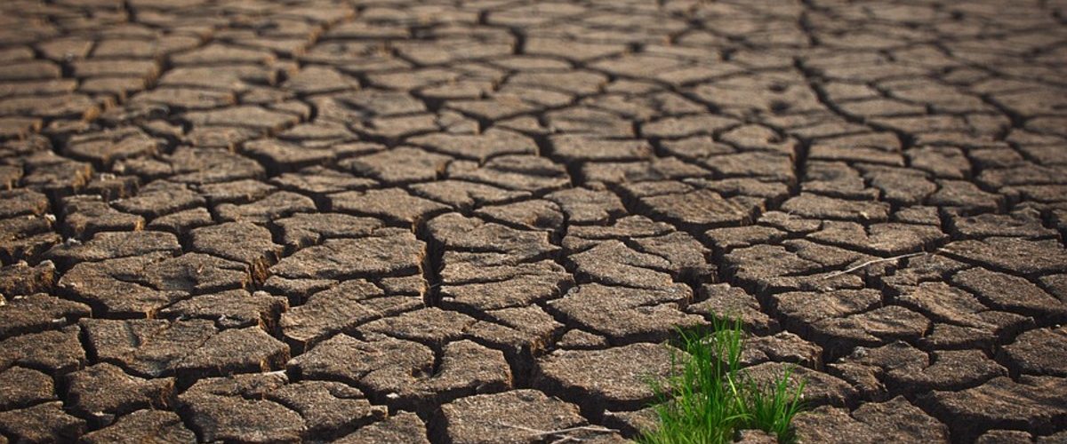 SEQUÍA, SIN AGUA,