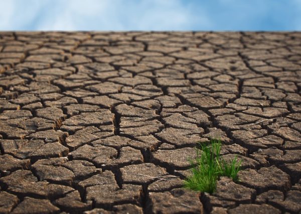 SEQUÍA, SIN AGUA,