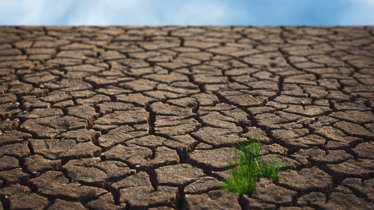 SEQUÍA, SIN AGUA,