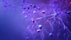 neuronas