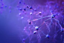 neuronas