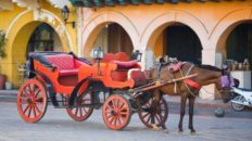 coches caballo cartagena