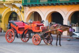 coches caballo cartagena