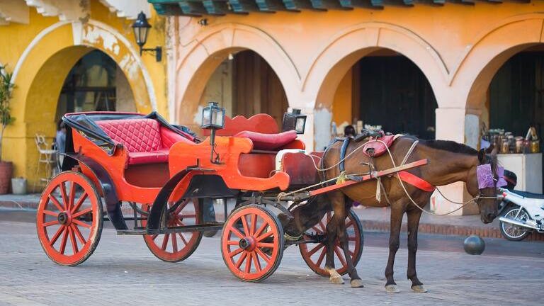 coches caballo cartagena