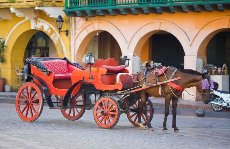 coches caballo cartagena