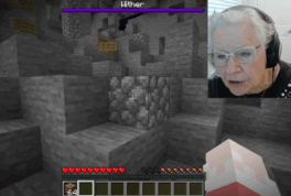 Grandma Crackers , La abuela Youtuber que recaudó más de 35.000 dólares para su nieto jugando Minecraft