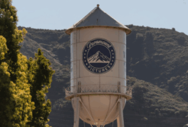 De acuerdo con fuentes la compra de Warner Bros se consolidó por cerca de 110 millones de dólares.