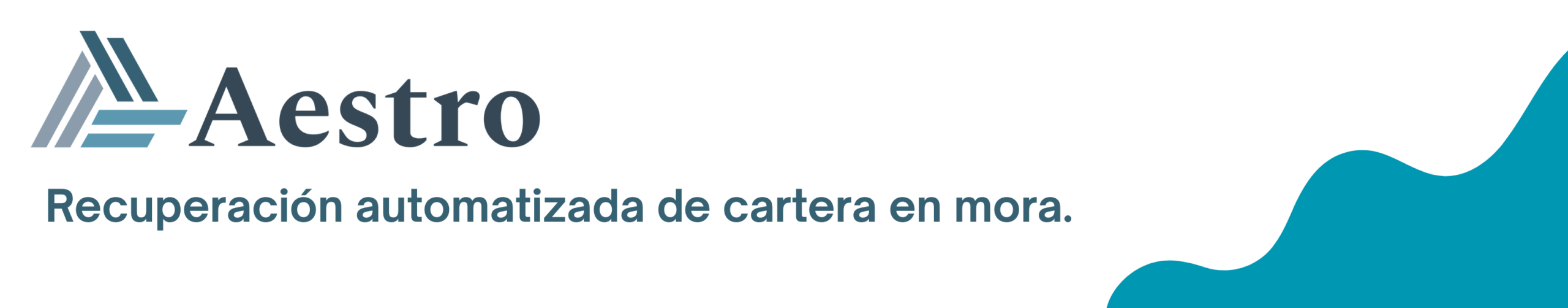 Banner Aestro Enter