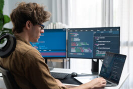 desarrollo, programador